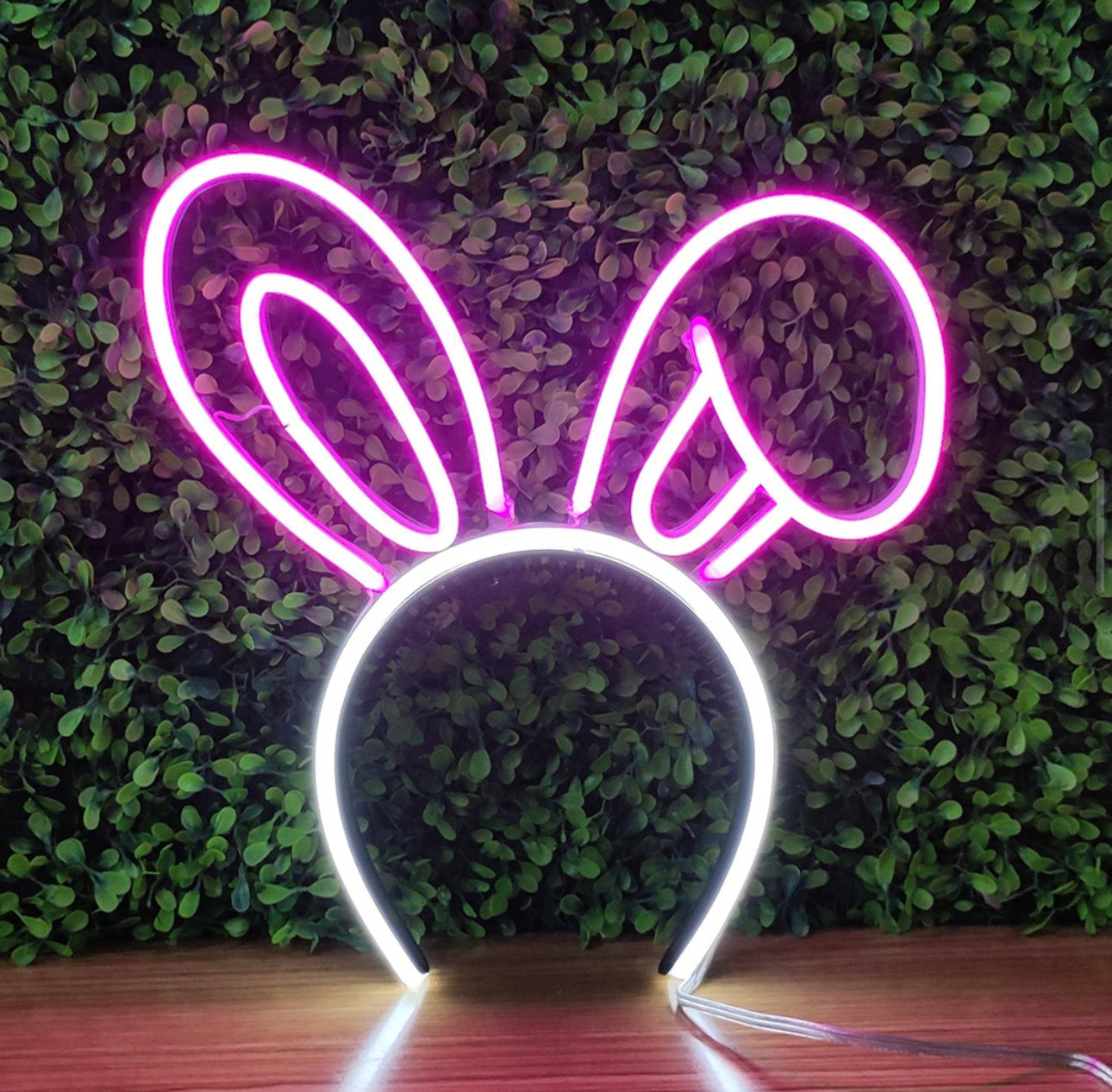 Bunny Ears 2