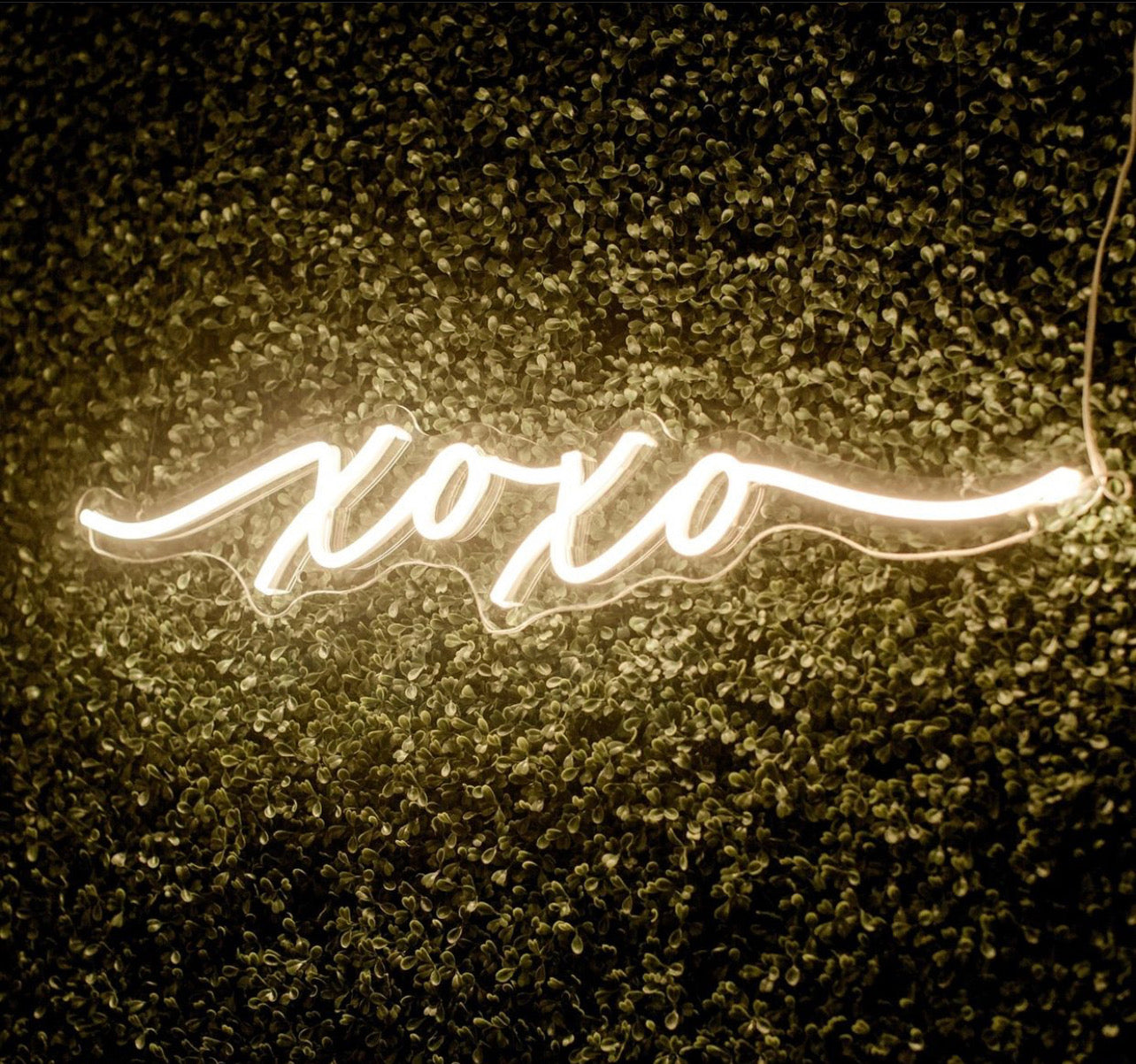 Top Neon Sign Ideas for Weddings That Will Wow Your Guests