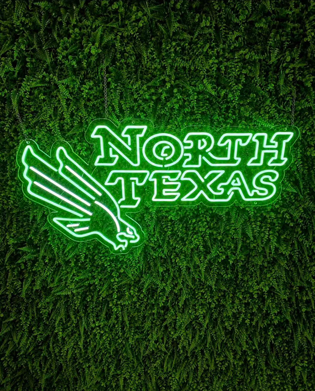 UNT Eagles