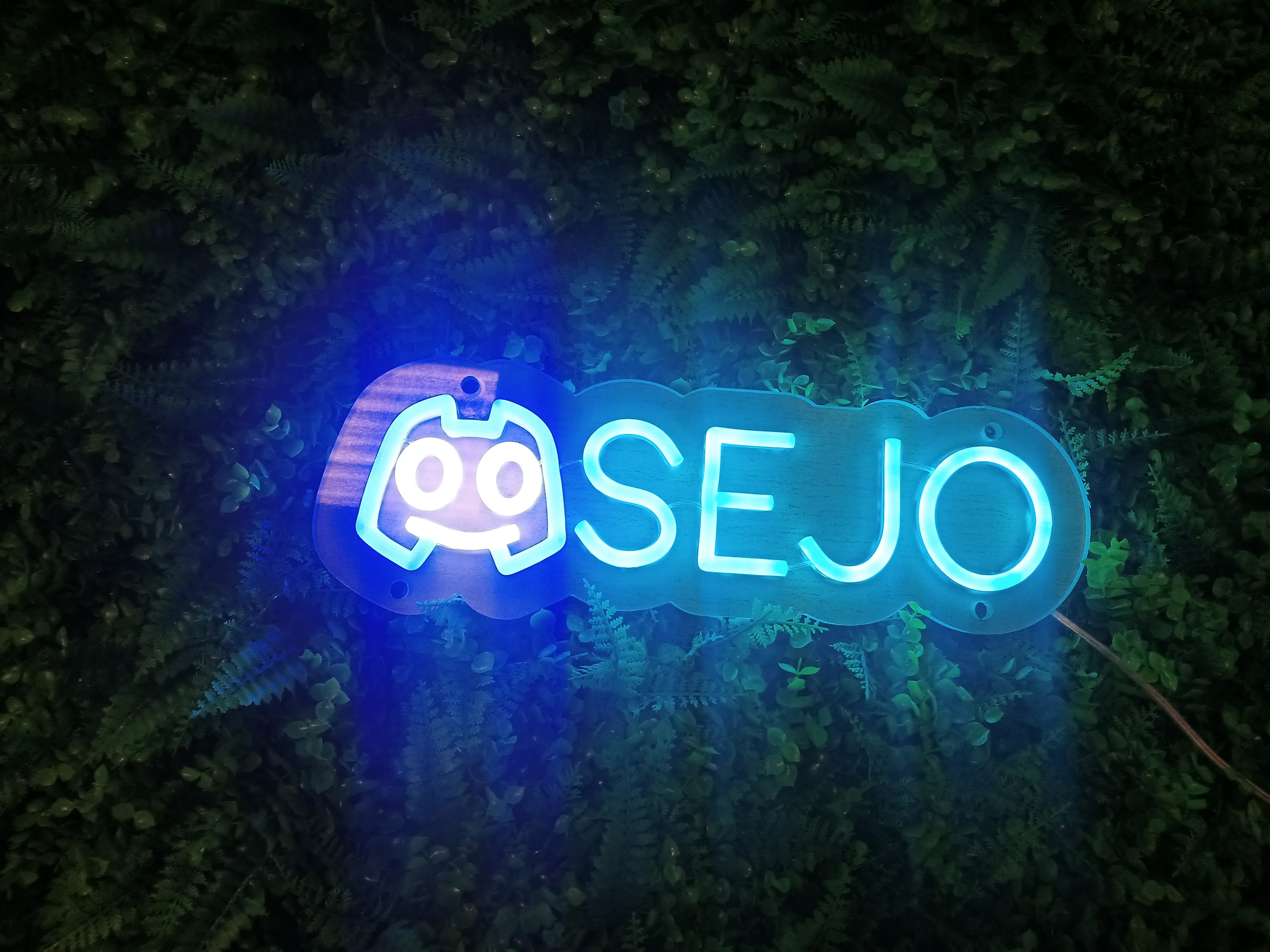 Custom Gaming Neon Sign — Twitch, YouTube, Xbox, Discord &amp; More